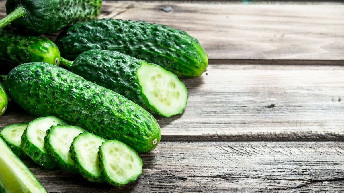 Best Slicing Cucumbers Back Homeon the Farm